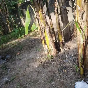 Land for Sale in Welmilla, Bandaragama