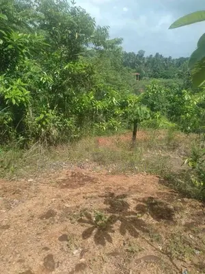 Prime Bare Land for Sale in Radawadunna, Pasyala