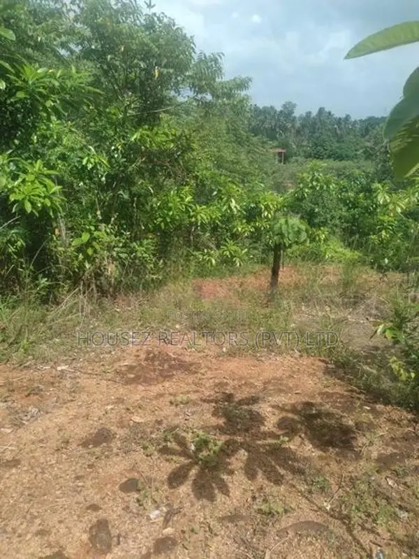 Prime Bare Land for Sale in Radawadunna, Pasyala