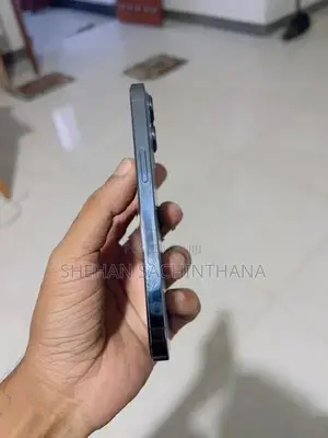 Apple iPhone 13 Pro LLA (Used)