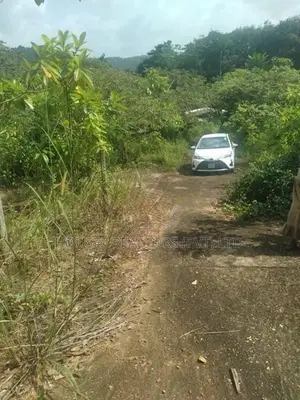 Prime Bare Land for Sale in Radawadunna, Pasyala