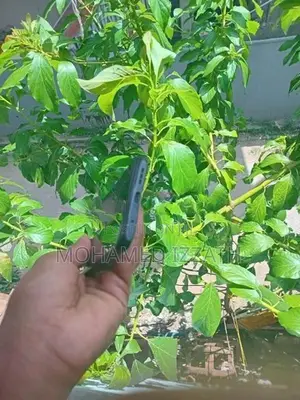 Xiaomi poco (Used)