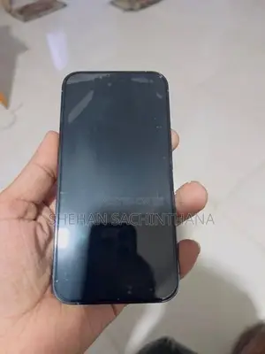 Apple iPhone 13 Pro LLA (Used)