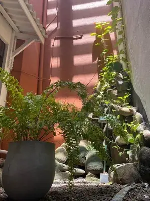 5 Bedroom House for sale in Colombo 08 (EM035AC)