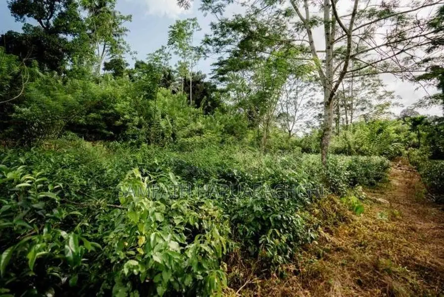 Land for Sale in Pitigala Galle