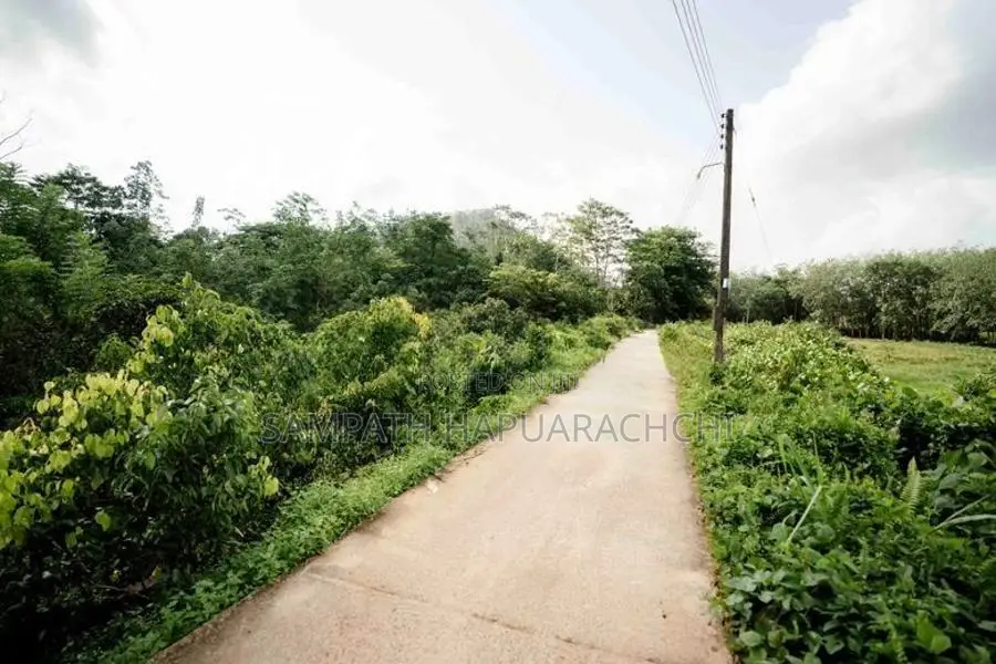 Land for Sale in Pitigala Galle