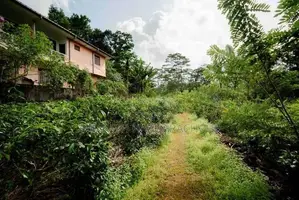 Land for Sale in Pitigala Galle