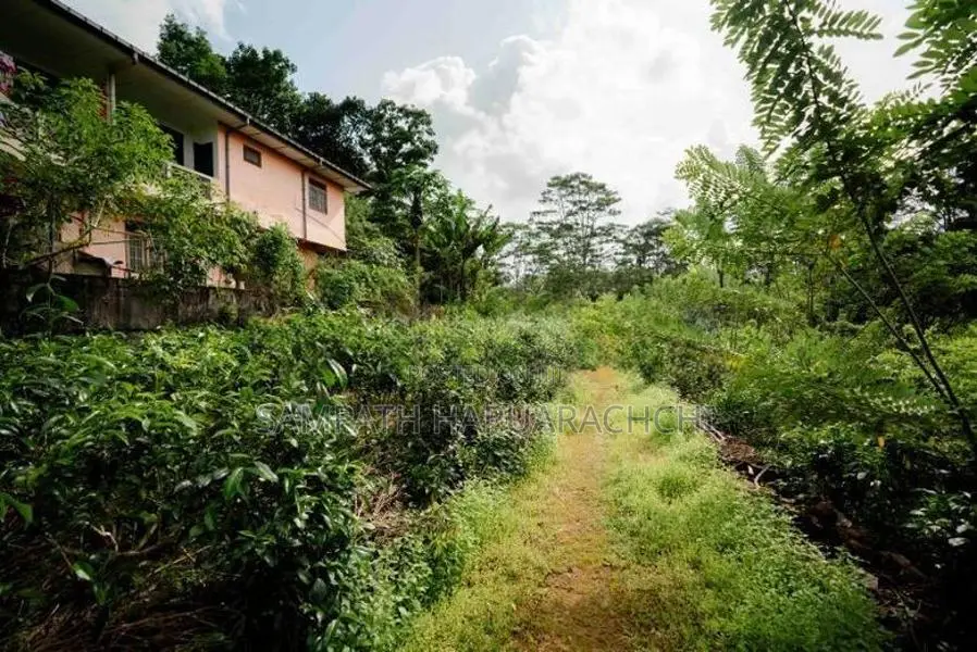 Land for Sale in Pitigala Galle