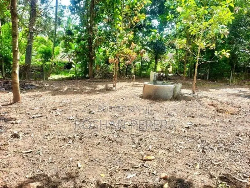 Land of 40P for Sale Near Katunayake International Airport