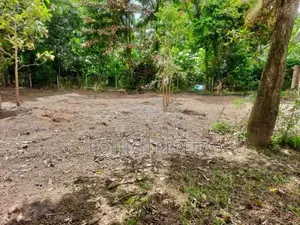 Land of 40P for Sale Near Katunayake International Airport
