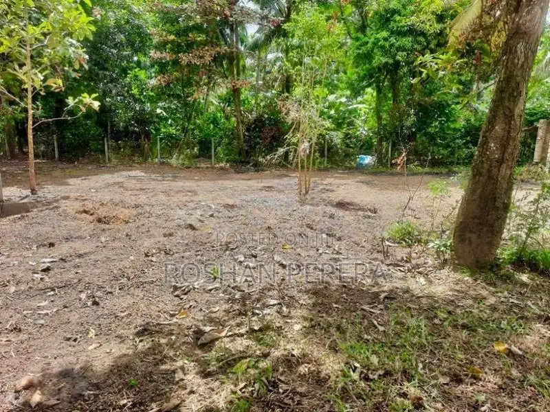 Land of 40P for Sale Near Katunayake International Airport