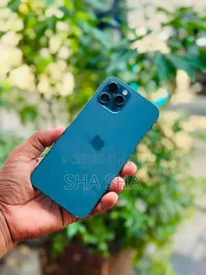 Apple iPhone 12 Pro Max 256gb good (Used)