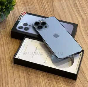 Apple iPhone 13 Pro Max 256GB (Used)