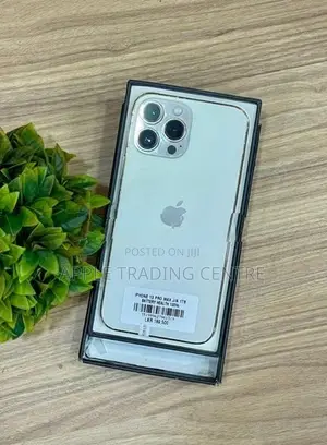 Apple iPhone 13 Pro Max 1TB (Used)