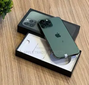Apple iPhone 13 Pro Max 256GB (Used)