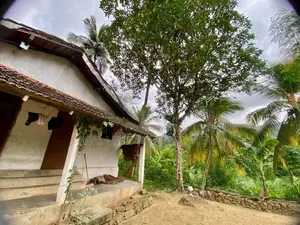 Neluwa 10 Acres Agricultural Estate for Sale