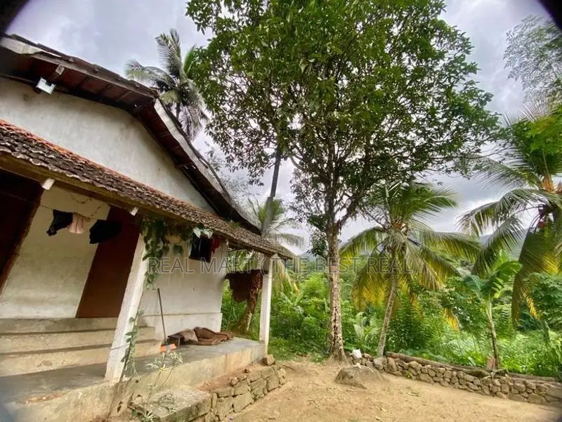 Neluwa 10 Acres Agricultural Estate for Sale