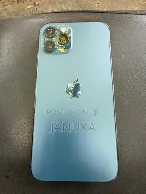 Apple iPhone 12 Pro 256GB (Used)