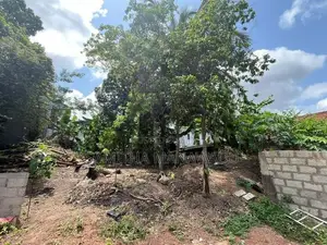 Land for Sale Thalawathugoda