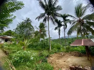 Neluwa 10 Acres Agricultural Estate for Sale