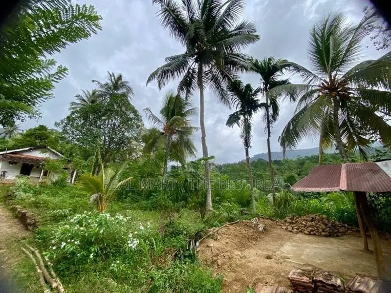 Neluwa 10 Acres Agricultural Estate for Sale