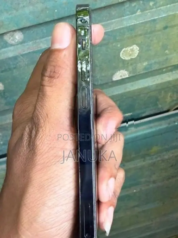 Apple iPhone 12 Pro 256GB (Used)