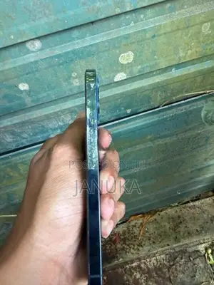 Apple iPhone 12 Pro 256GB (Used)