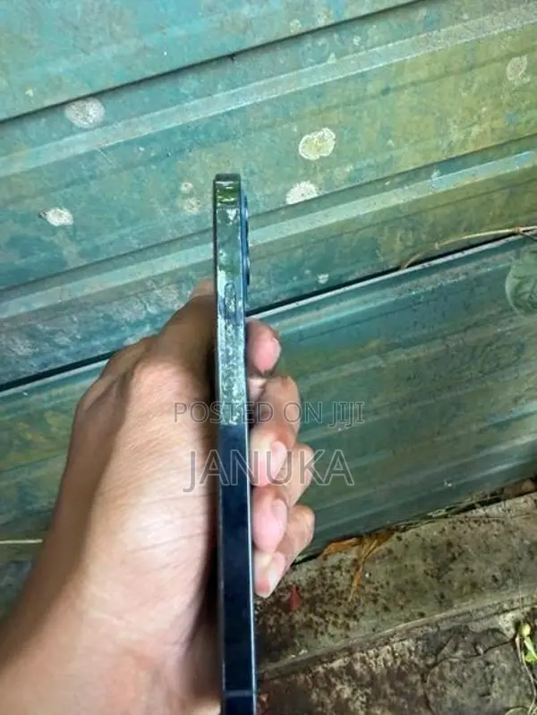 Apple iPhone 12 Pro 256GB (Used)