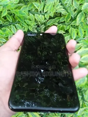 Apple iPhone 7 Plus (Used)