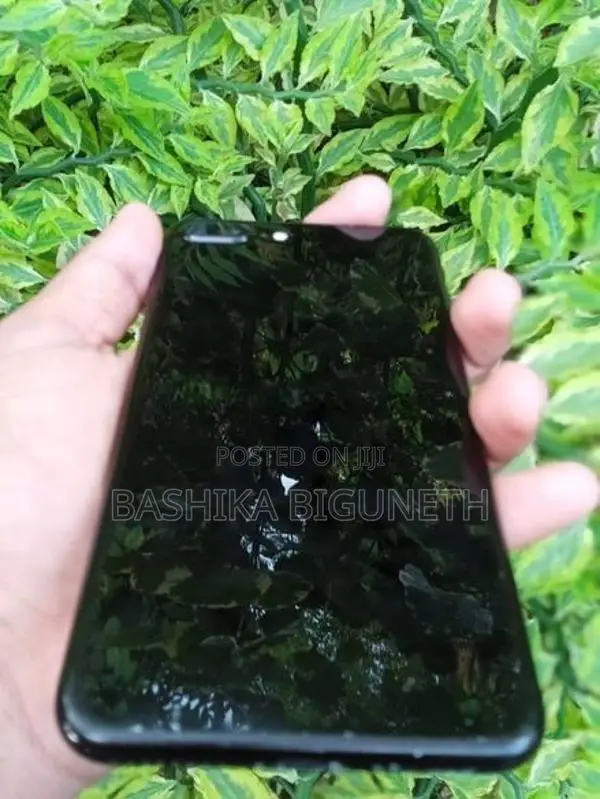 Apple iPhone 7 Plus (Used)