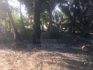 Prime Road-Front Land with 2 Shops – Kalpitiya Roadd