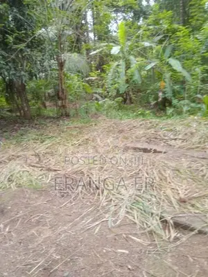 වැල්ලවාය ආනපල්ලම පන්සල ගාව ඉඩම පිහිටා ඇත ප්‍රධාන මාර්ගයකට මිටර්150දුරි