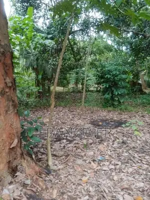 වැල්ලවාය ආනපල්ලම පන්සල ගාව ඉඩම පිහිටා ඇත ප්‍රධාන මාර්ගයකට මිටර්150දුරි