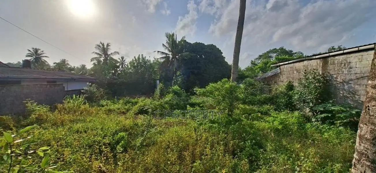 Land for Sale Piliyandala Nanpamunuwa