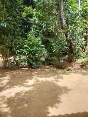 Amitirigala 118 Perches Valuable Land for Sale
