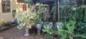 House with Land for Sale Anuradhapura