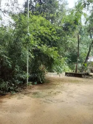 Amitirigala 118 Perches Valuable Land for Sale