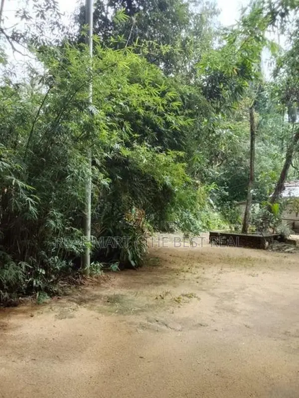 Amitirigala 118 Perches Valuable Land for Sale