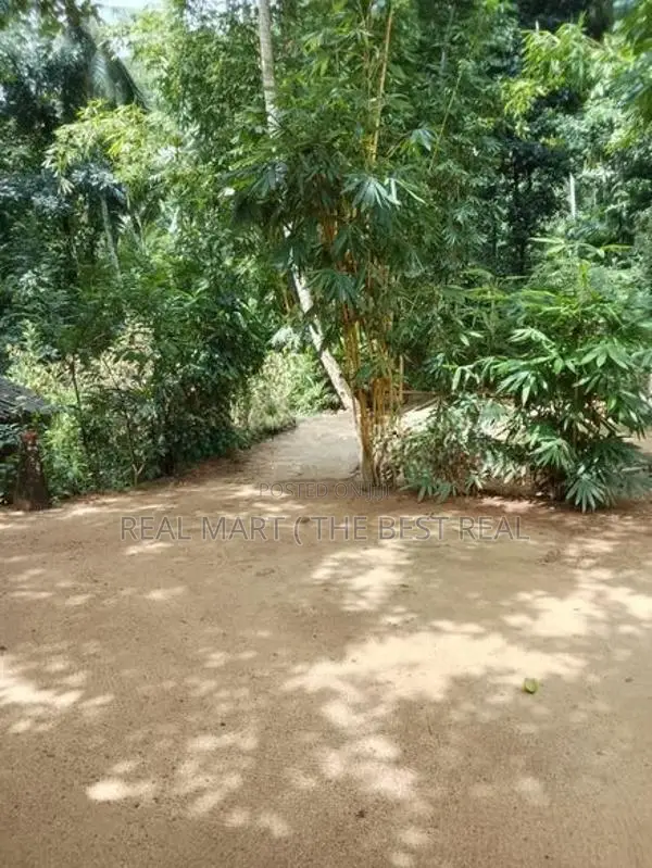 Amitirigala 118 Perches Valuable Land for Sale