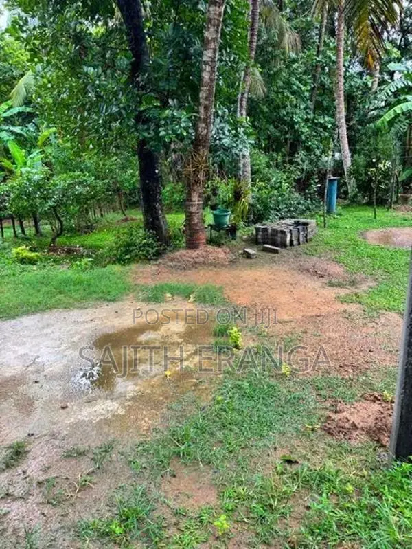 Land for sale in Dikwella