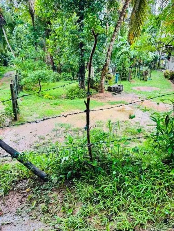 Land for sale in Dikwella