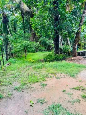 Land for sale in Dikwella