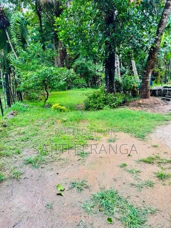 Land for sale in Dikwella