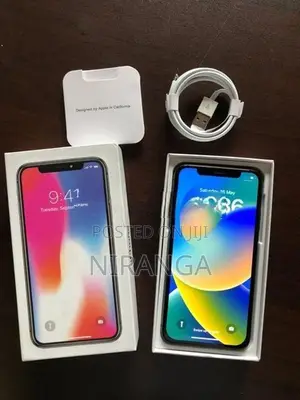 Apple iPhone X (Used)