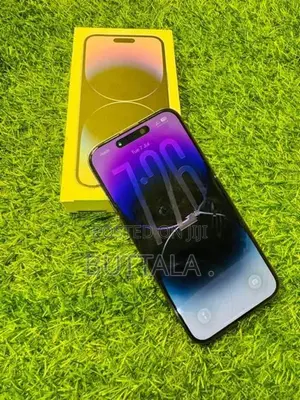 Apple iPhone 14 Pro Max 256GB (Used)