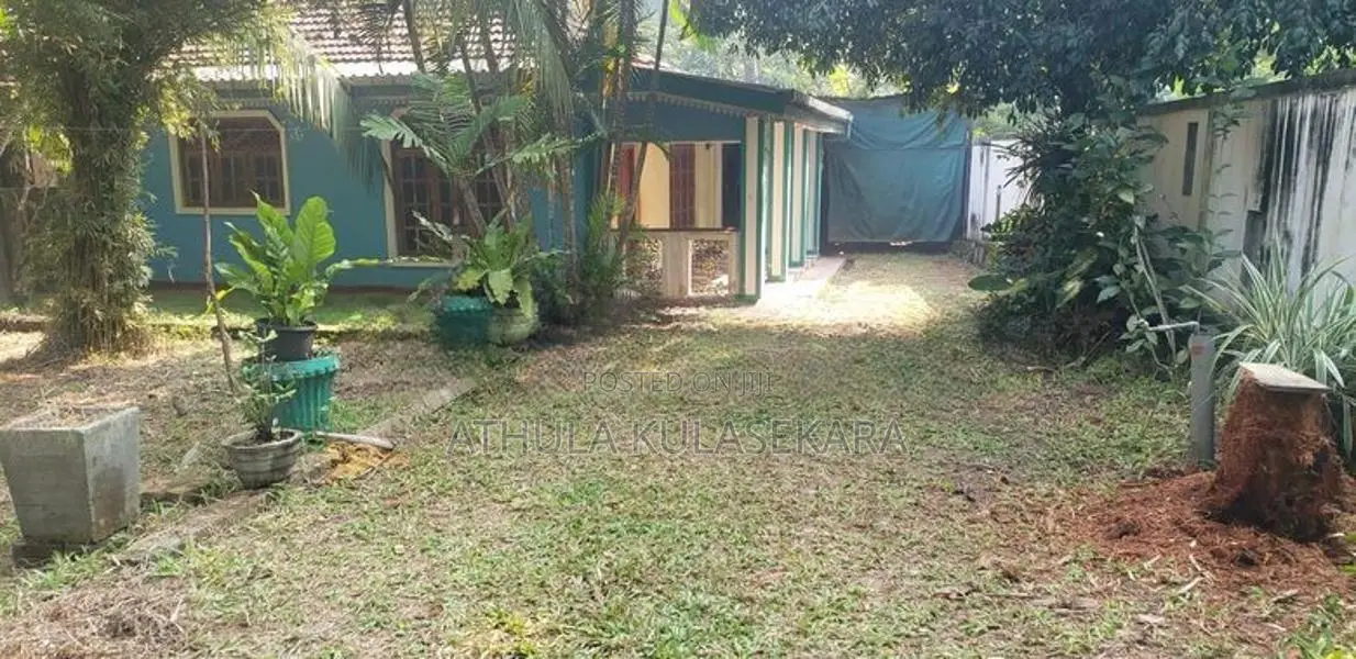 House for Rent in Hingurana