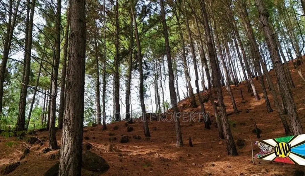 Land for sale in Ella