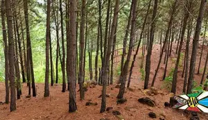 Land for sale in Ella