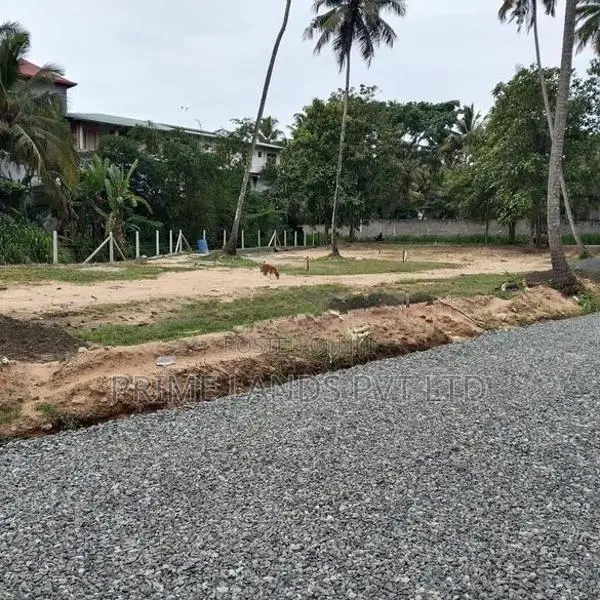 පැල්ලන්දෙණිය හන්දියෙන්ම සුපිරි ඉඩමක්