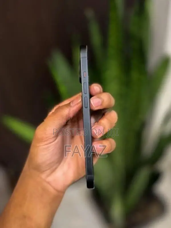 Apple iPhone 15 128GB (Used)